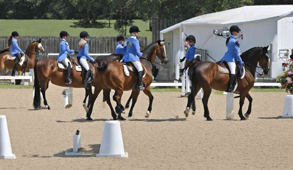 The United States Equestrian Drill Association