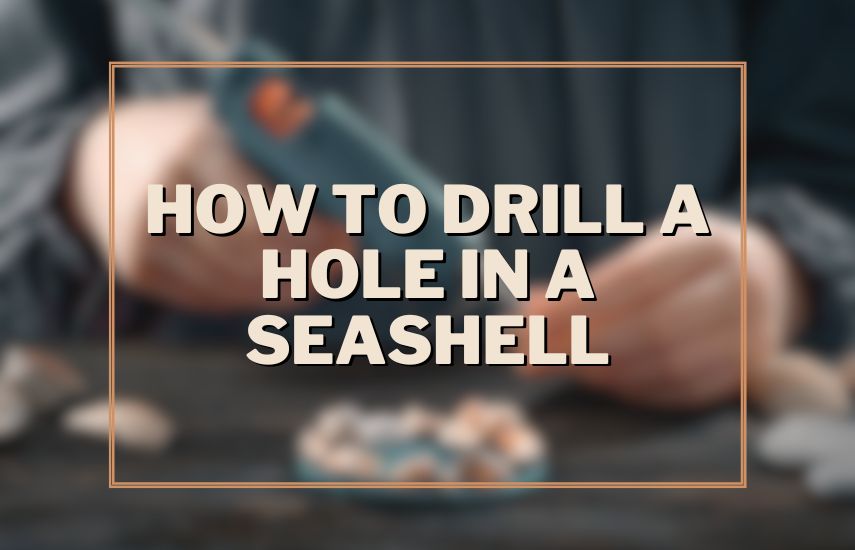 How To Drill A Hole In A Seashell
