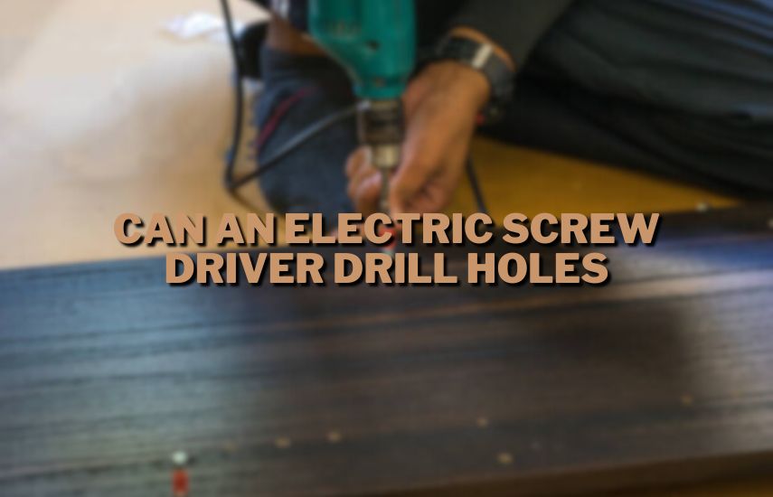 Can An Electric Screw Driver Drill Holes at drillsboss.com