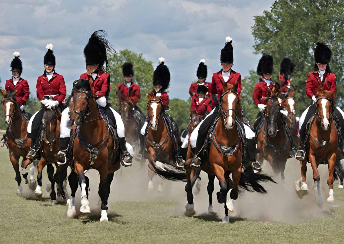 Horse Drill Team: Mastering Precision with Equine Elegance